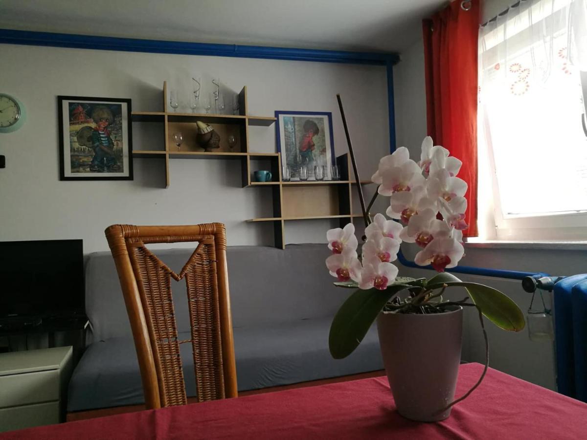 A+R Pension Plzeň Dış mekan fotoğraf